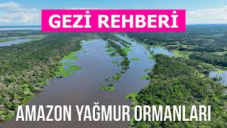 Amazon yağmur ormanları. Ziyaret edilecek Güney Amerika