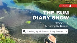 The Bum Diary Show - Big Brown Trout, Spring Stream, South Island