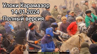 Улоки Карамазор 14.01.2024/Бузкаши kopkari kokboru Самандар Кенжаев