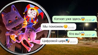 Цифровой цирк спасает меня от Кота Дремота