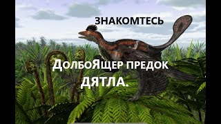 Всё что происходит--- долбоЯщерам всё смешно...18.08.24г.