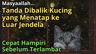 MASYALLAH!! Tanda Kucing Melihat Terus ke Luar Jendela, Cepat Hampiri Sebelum Menyesal