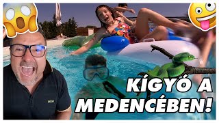 KÍGYÓ A MEDENCÉBEN!