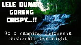 🔴tidur dipinggir sungai,masak ikan #bushcraft #solocamping #asmr #camping #fypシ゚viral #fyp #trending