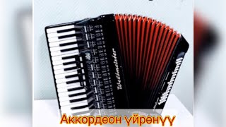 59. Аккордеон уйронуу/ Апакем кайда мен кайда/ басс менен