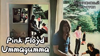 Сага о Флойдах, выпуск 7: Ummagumma