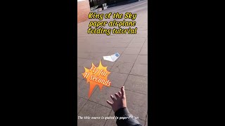 King of the air paper plane, flying wildly in the sky for 41 seconds!#paperplane #origami #handmade