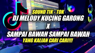 DJ MELODY KUCING GARONG X SAMPAI BAWAH SAMPAI BAWAH YANG VIRAL DI TIK TOK YANG KALIAN CARI!!!