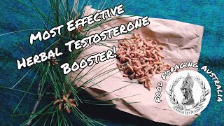 The Best Natural Testosterone Booster From This Tree!