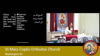 Divine Liturgy - Saturday 6/22