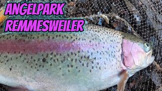 Tremarella Forellenangeln- Angelpark Remmesweiler/Saarland🎣🎣🎣 #angeln #forellenangeln