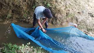 Fish catching by net