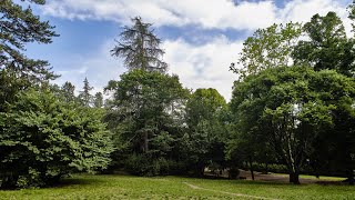 The Villa Strozzi al Boschetto Park