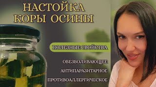 РЕЦЕПТ НАСТОЙКИ ОСИНЫ 🌳#осина #кораосины #рецептыздоровья