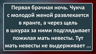 Тёща Чукчи Подглядывает за Молодыми! Сборник Анекдотов Синего Предела №176