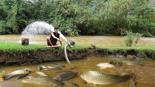 Fishing video - Pump fishing technology, catch a lot of fish in the lake - Survival Skills