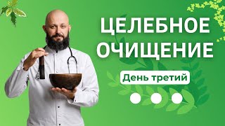 Целебное очищение.  День 3