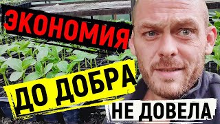 ПОТЕРЯЛИ ОГУРЦЫ ❗ ЗАДЫМИЛСЯ ТРАКТОР ❗ КОНЕЦ СЕЗОНА.