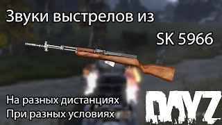 DayZ 1.07. SK 5966. Звуки стрельбы на разных расстояниях и при разных условиях.