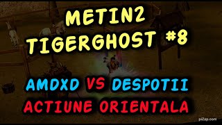 Metin2 TIGERGHOST #8 / AMD vs DESPOTII INTUNECATI (actiunea orientala mmorpg)