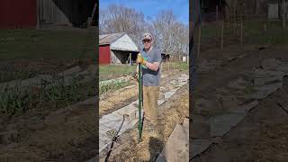 Mediocre Farmer puts up cattle panels in garden #garden  #mediocrefarmer #squabble #shorts