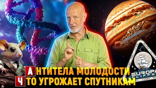 Космический залёт, средство от старости, львиные рекорды | Новости науки