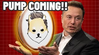 DOGELON IS ABOUT TO PUMP!! ELON MUSK HAS A SECRET?! DOGELON MARS PRICE PREDICTION