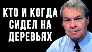 Кто и когда сидел на деревьях. Анатолий Клёсов