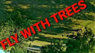 iFlight Nazgul5 FPV with the trees