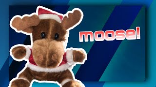 (tendertoys?) singing and moving christmas moose