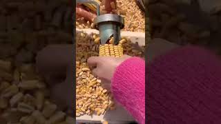 The fastest tool for corn #shortvideo #amazing #viral #viralvideo