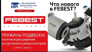 Воркшоп с FEBEST: пружины подвески – логичное расширение ассортимента амортизаторов. #febest