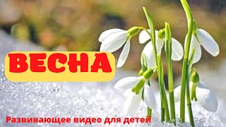 ВЕСНА! 🌱Рассказ про ВЕСНУ для детей. Русская весна. Развивающее видео для детей