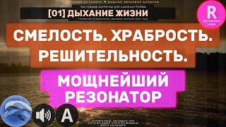 R04🐬 Смелость. Решительность. Храбрость. 🔊 Мощнейший Резонатор