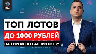 Топ лотов до 1000 рублей на торгах по банкротству 5