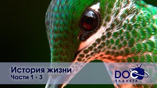 История жизни - Части 1-3  - Документальный фильм