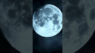 ¿Sabías el significado de luna de miel?  #curiosidades #lunademiel #historia