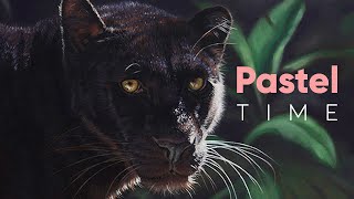 Black Leopard (Panther) in Soft Pastel - Narrated Timelapse