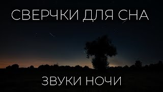 Звуки сверчков для сна, поле, деревня, костёр. Музыка для сна и релакса.