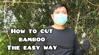 Tamang Diskarte Sa Pagkuha Ng Kawayan | How To Cut Bamboo The Easy Way