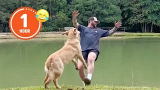 FUNNIEST Pets of 2024 😂 | BEST Compilation