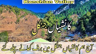 Aj hm baraf ke talash ma jungle ke traf nikl gy | Kanshian valley forest | The 70cc Wanderer |#snow