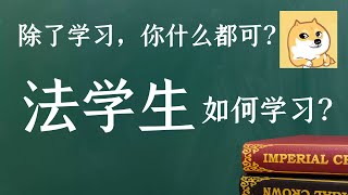 聊聊法学生如何高效学习，毕业即ready！「一般人我不告诉他」