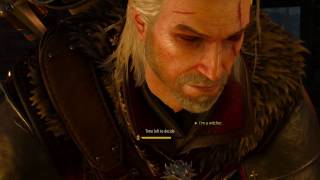 The Witcher 3 Memorable Geralt Quotes (Campaign Part 1)