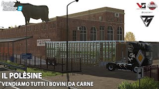 IL POLESINE VENDIAMO TUTTI I BOVINI DA CARNE - FS22 ALEXFARMER