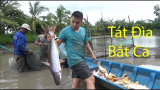 Tát Đìa Bắt Hàng Tấn Cá Phần 1 | Catch Fish