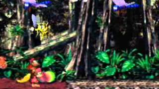 Donkey Kong Country 2 - Part 9: Jungle Jinx