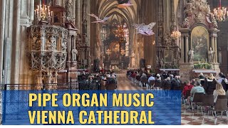 🇦🇹🎹Immerse in the sound of Pipe Organ Playing at St Stephen Cathedral Vienna Austria May 2023 4K