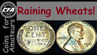 It was Raining Wheats! Outstanding Box of Pennies for MrsCFA! YouTube Livestream Coins! Sunday LIVE!