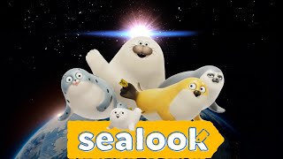 WE STAN SEALS!🌟 | SEALOOK BEST EPISODES | Episodes Compilation